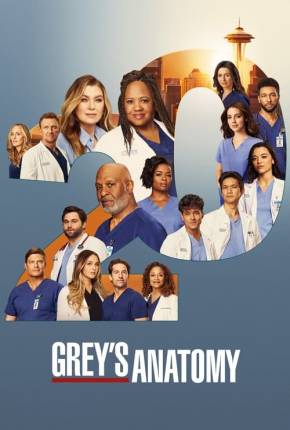 Série Anatomia de Grey - 20ª Temporada Legendada