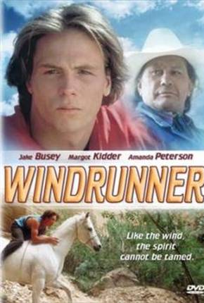 Filme Windrunner, o Vencedor / 480P - Legendado