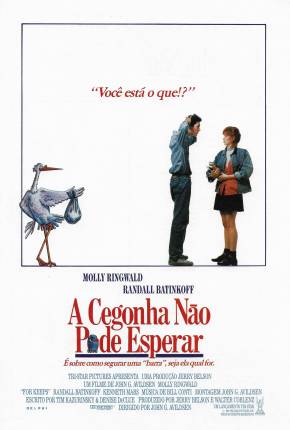 Filme A Cegonha Não Pode Esperar / Mais ou Menos Grávida