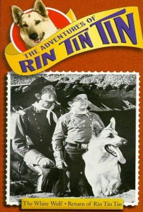 Série As Aventuras de Rin Tin Tin - 1ª Temporada