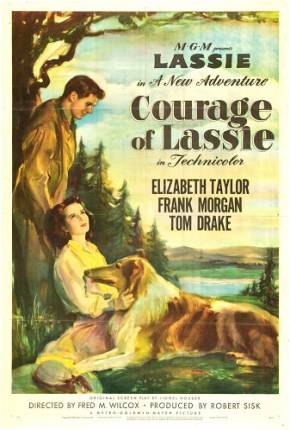 Filme A Coragem de Lassie / Courage of Lassie